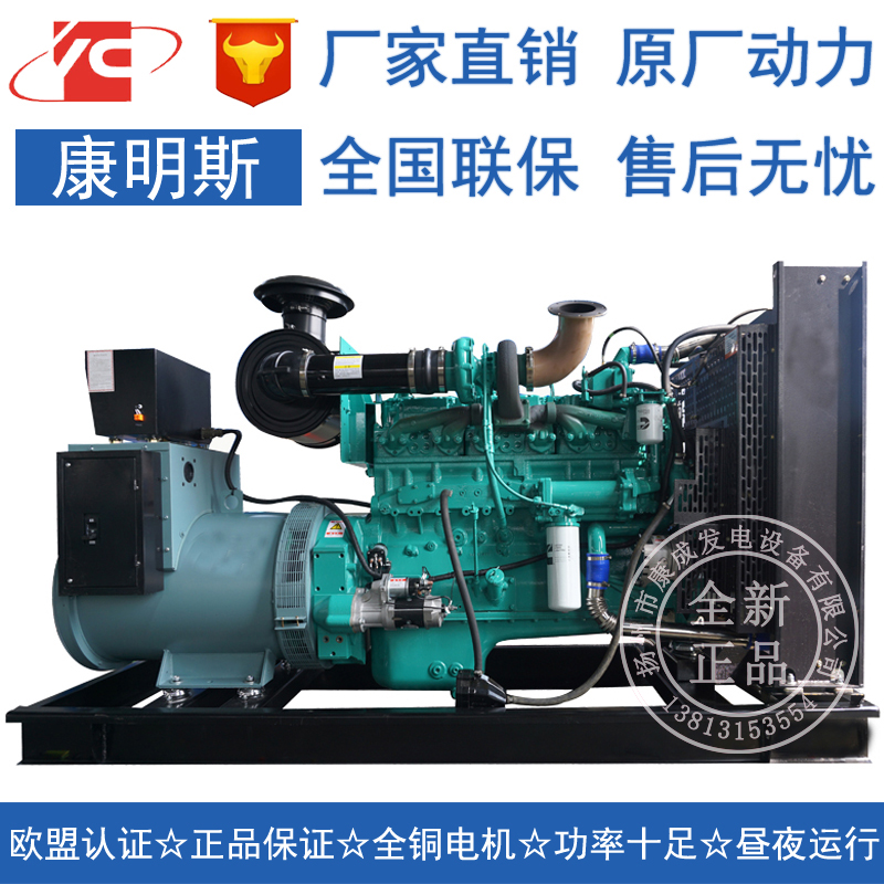 200KW重庆(jin)h斯NT855-GA柴a(b)发电(sh)机组